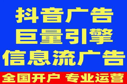 某电商平台的SEM推广实践与效果展示